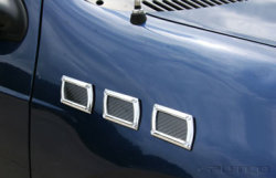 Chrome fender trim.
