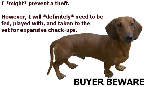 Dog might prevent theft