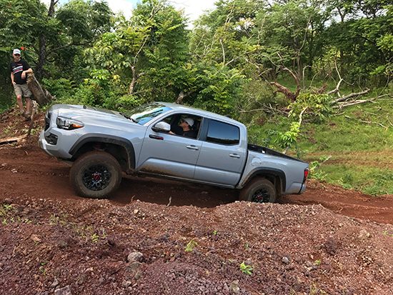 October 2016 Truck Sale Results - Tacoma, Tundra Hold